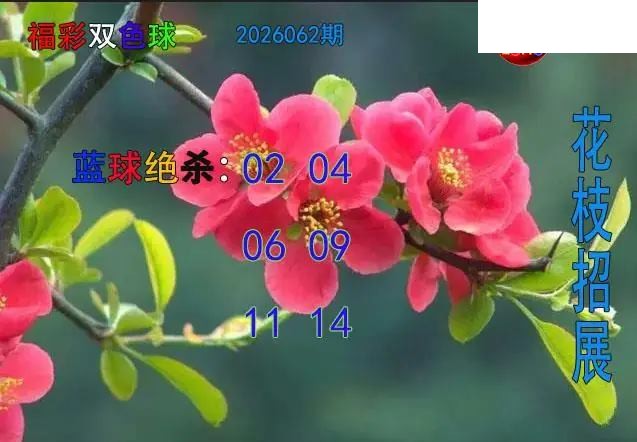 双色球2026年图迷062期 花枝招展蓝球绝杀图