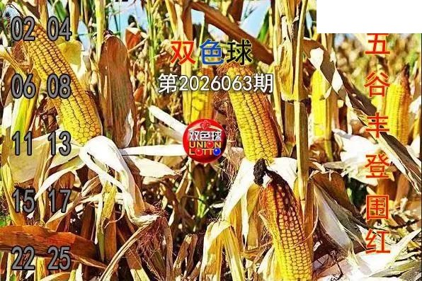 双色球2026年图迷063期 五谷丰登围红图
