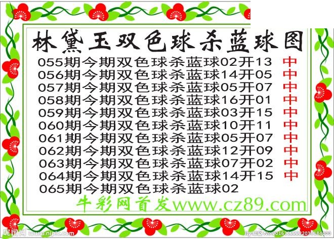 双色球065期 林黛玉杀蓝号图谜 10中10