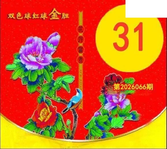 红球金胆26年066期双色球图谜