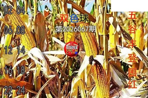 双色球2026年图迷067期 五谷丰登围红图