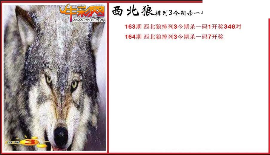 2026164期P3西北狼杀一码图