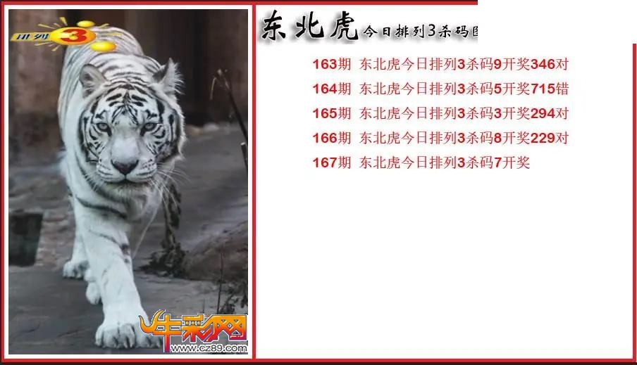 2026167期P3东北虎通杀一码图