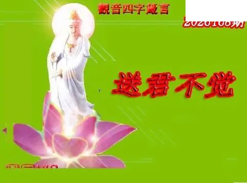 体彩P32026年168期 天霁密宗图谜