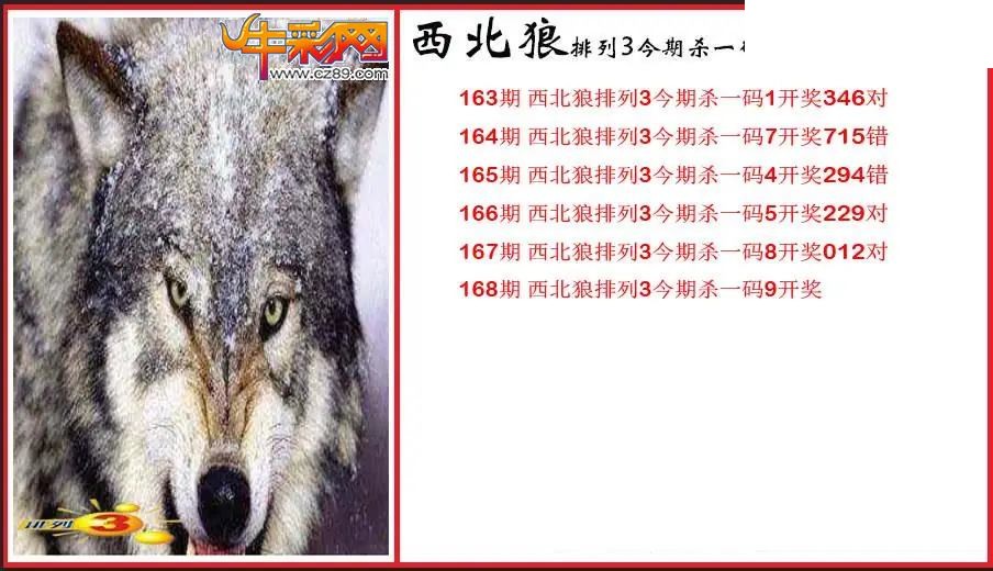 2026168期P3西北狼杀一码图